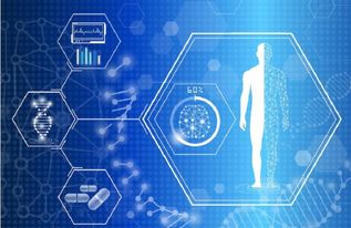 AI醫(yī)療的落地應(yīng)用全景 從智能診療到基礎(chǔ)軟件開(kāi)發(fā)的實(shí)踐與探索