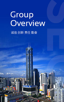 深圳投資管理集團(tuán) 引領(lǐng)灣區(qū)發(fā)展的國有資本投資運(yùn)營平臺